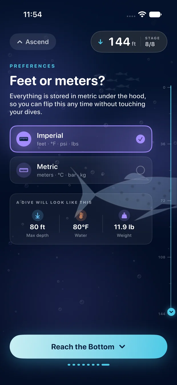 Feet or meters? — screen 9 of 10 of the MyDiveLogs setup